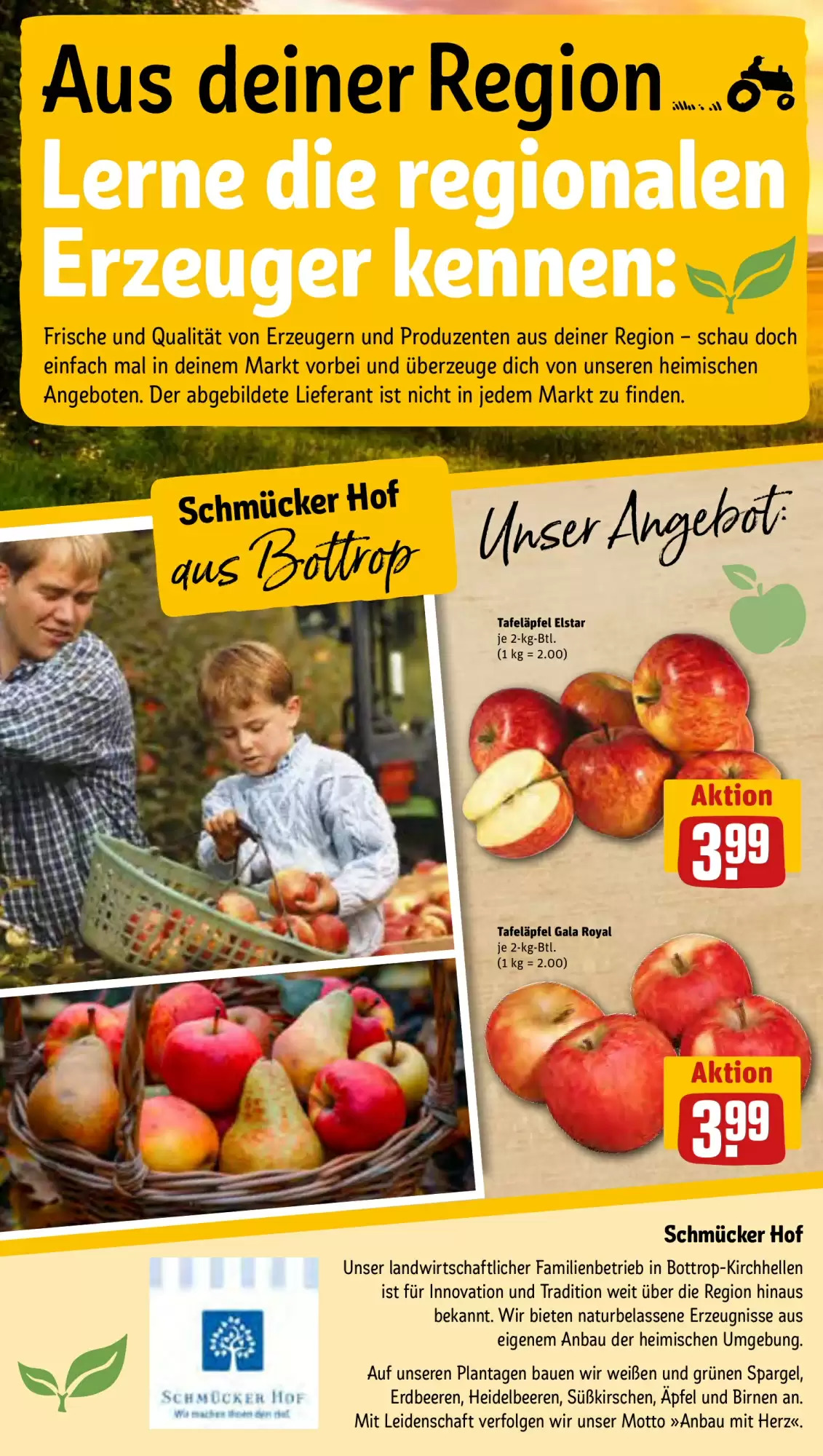 Rewe 27 1